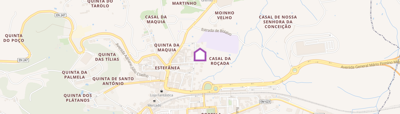 listing-map-picture