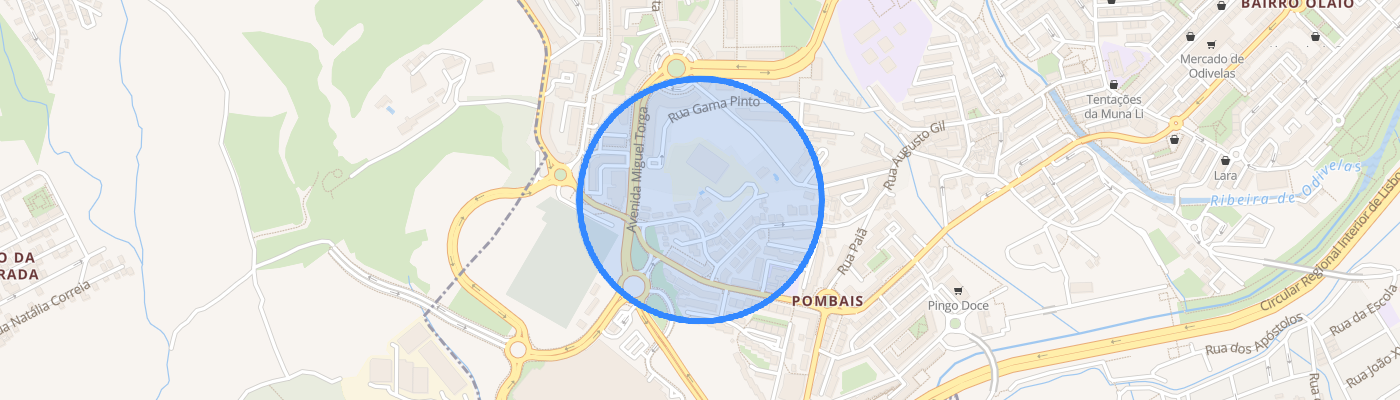 listing-map-picture