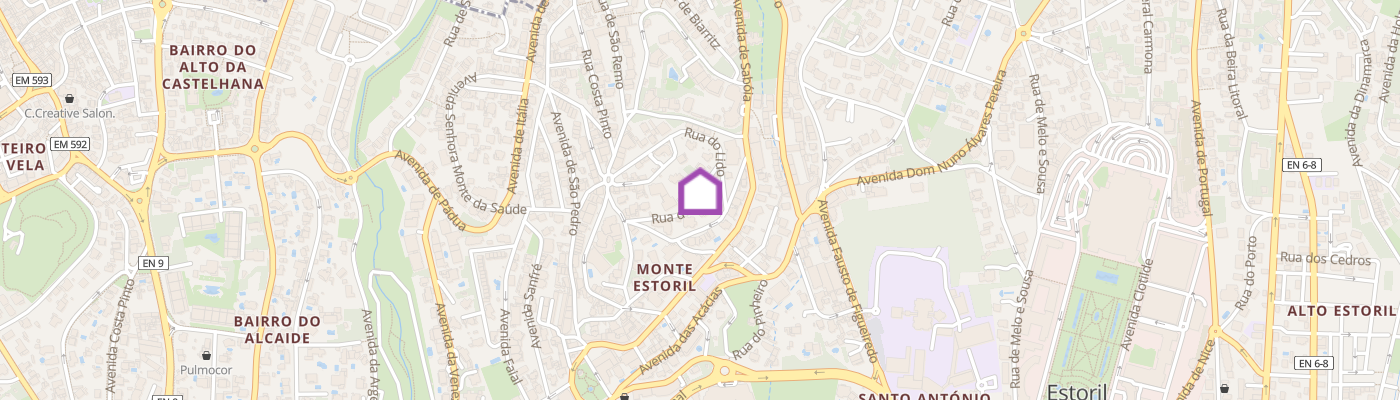 listing-map-picture