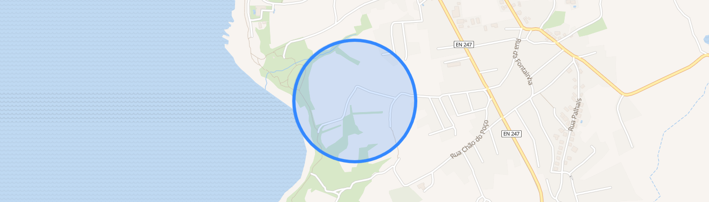 listing-map-picture