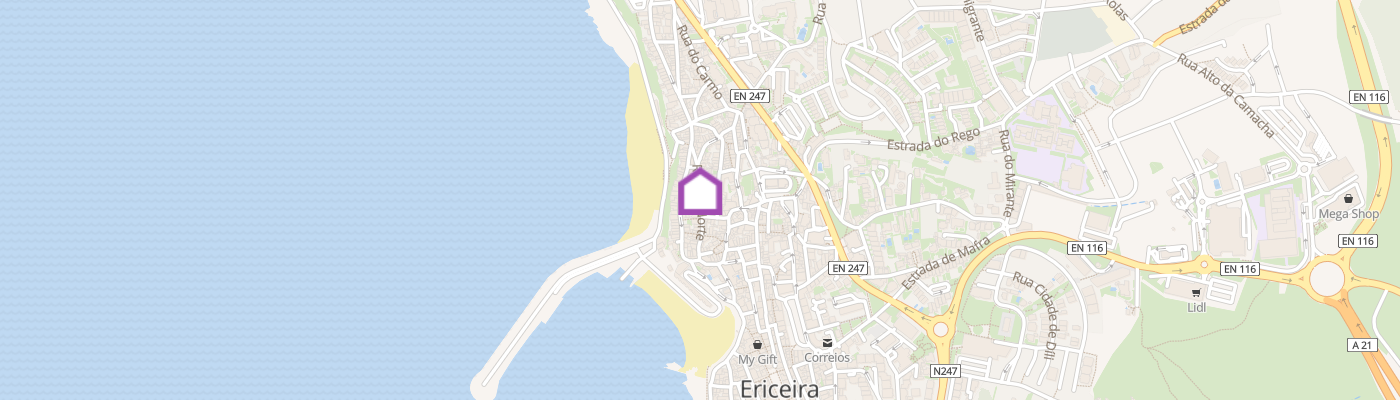 listing-map-picture