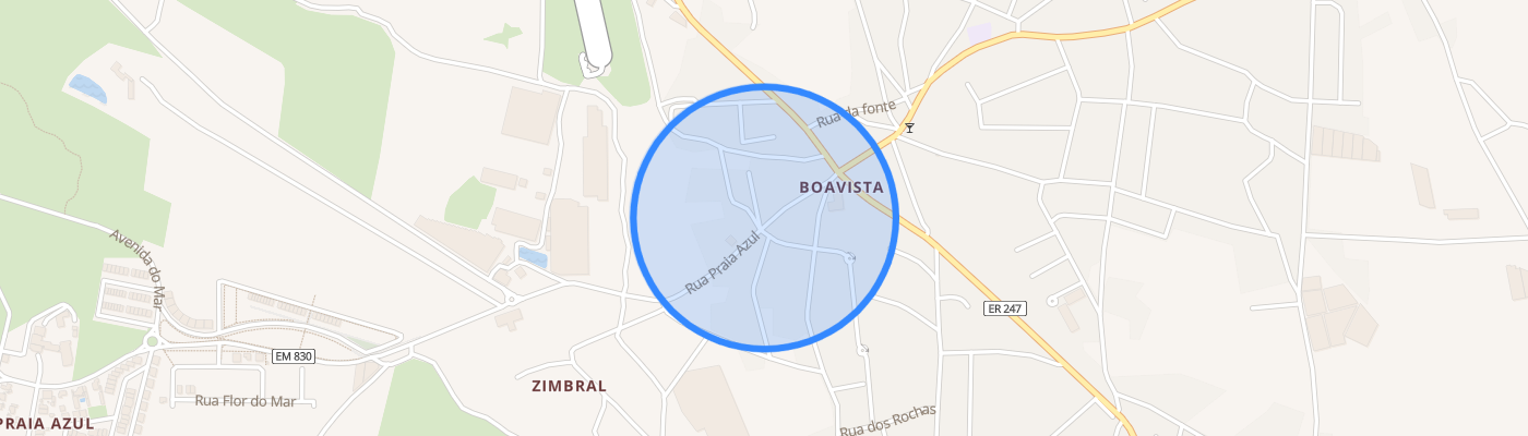 listing-map-picture