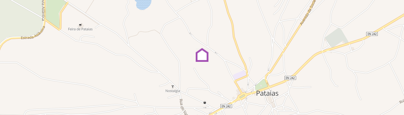 listing-map-picture