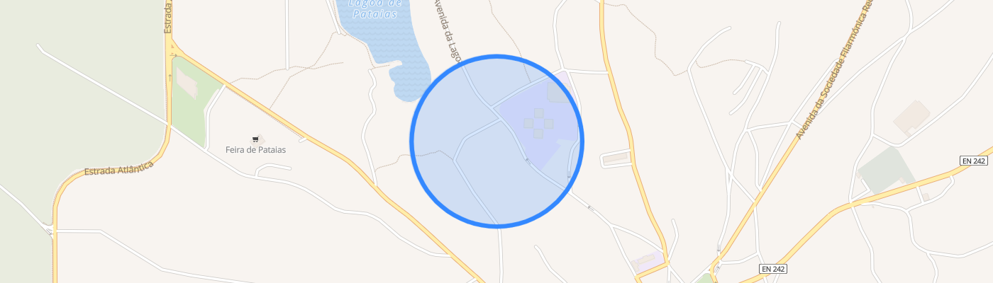 listing-map-picture