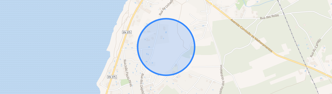 listing-map-picture