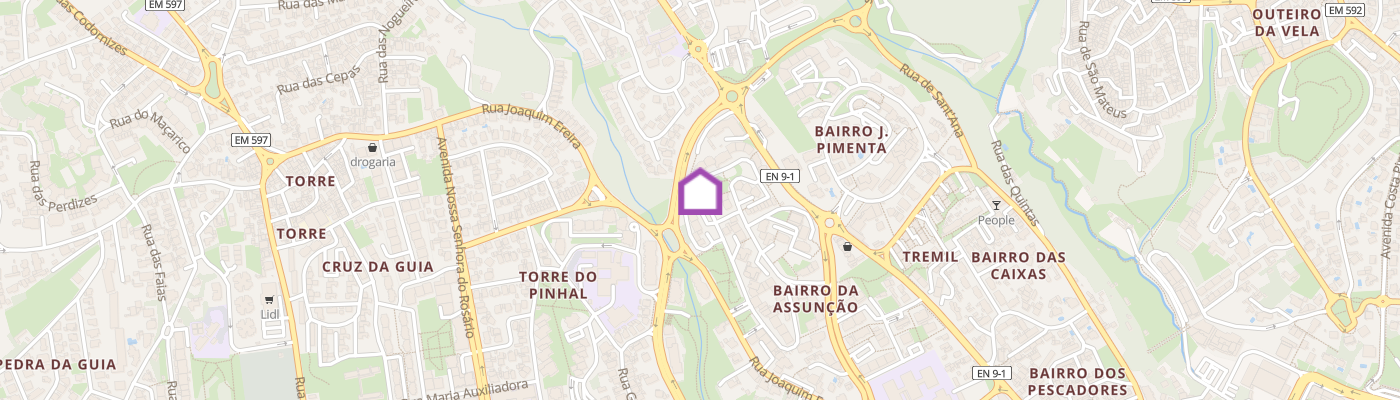 listing-map-picture