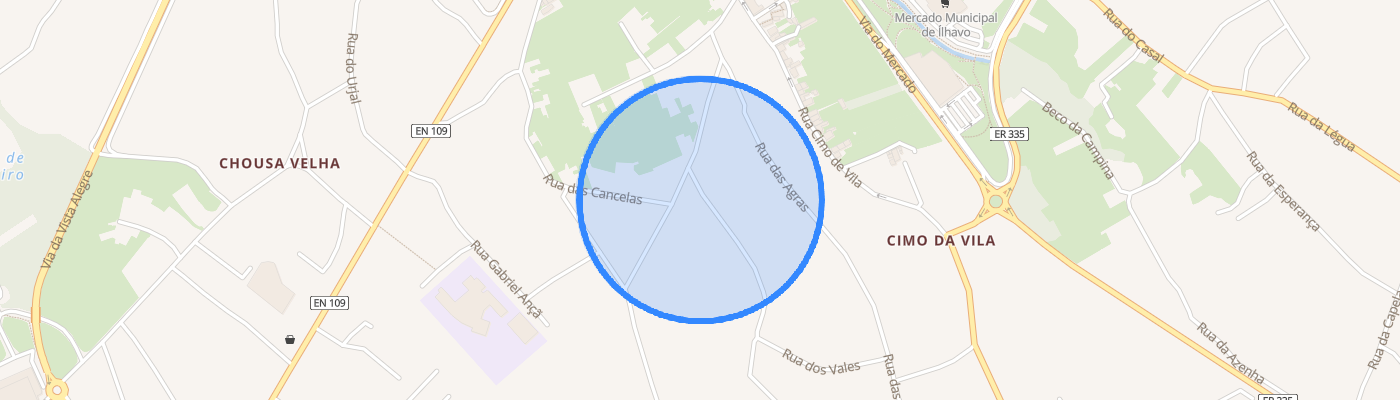 listing-map-picture