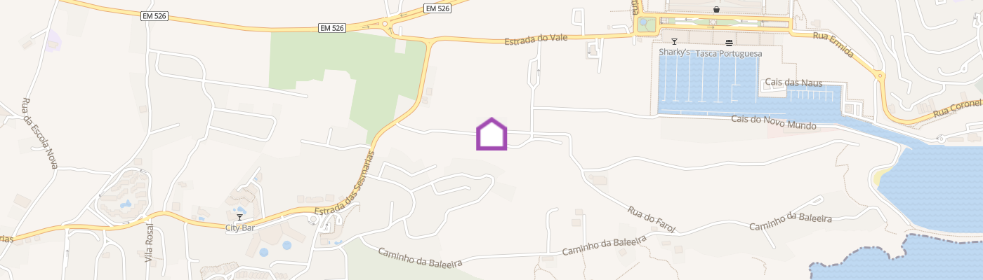 listing-map-picture