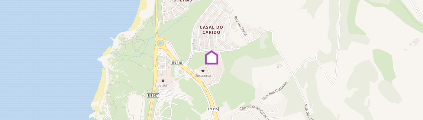 listing-map-picture