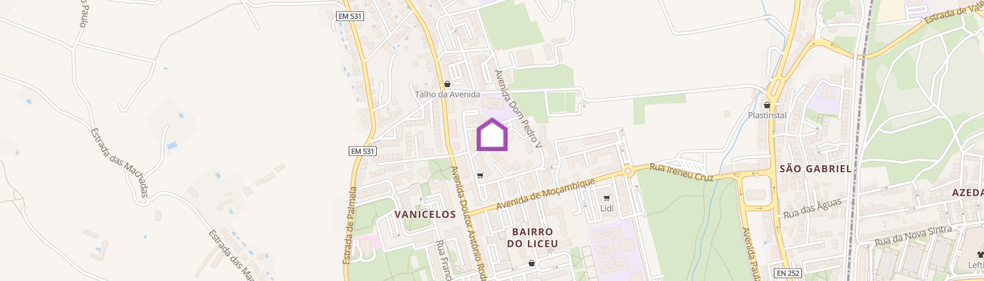 listing-map-picture