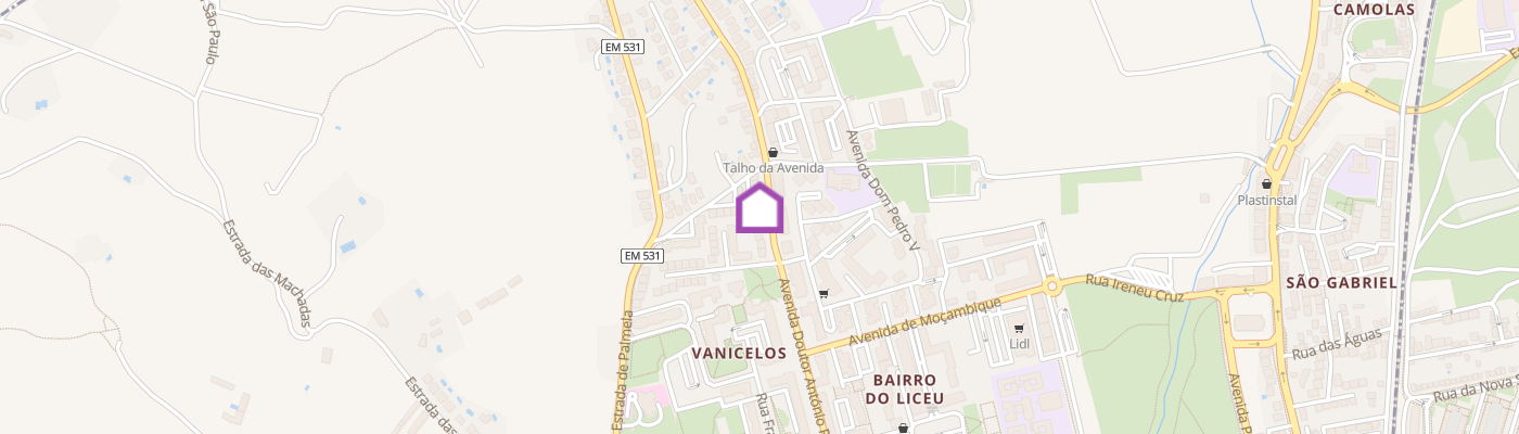 listing-map-picture