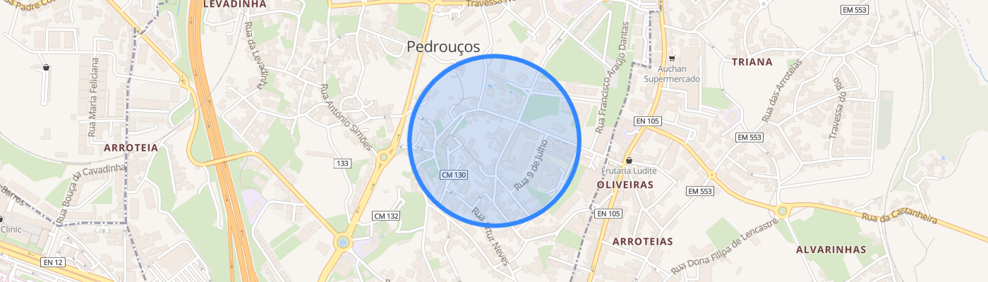 listing-map-picture