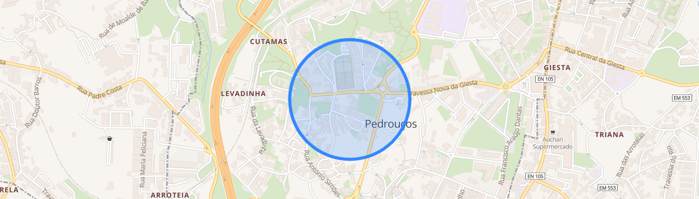 listing-map-picture