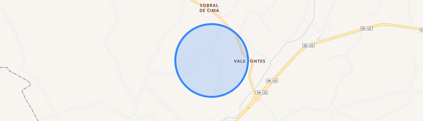 listing-map-picture