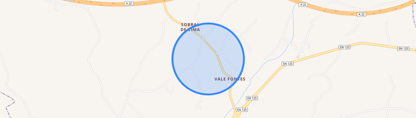 listing-map-picture