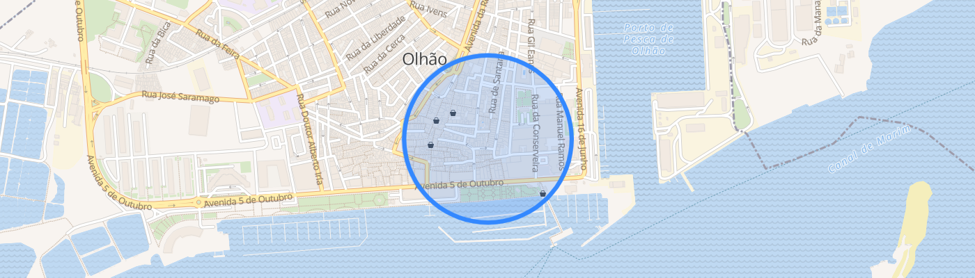 listing-map-picture