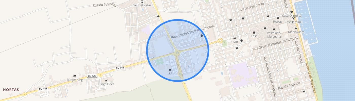 listing-map-picture