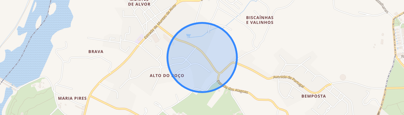 listing-map-picture