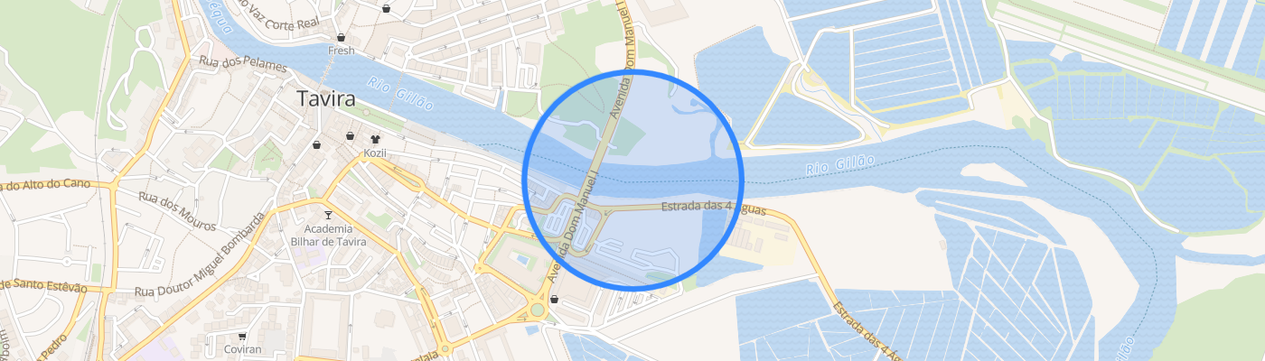 listing-map-picture