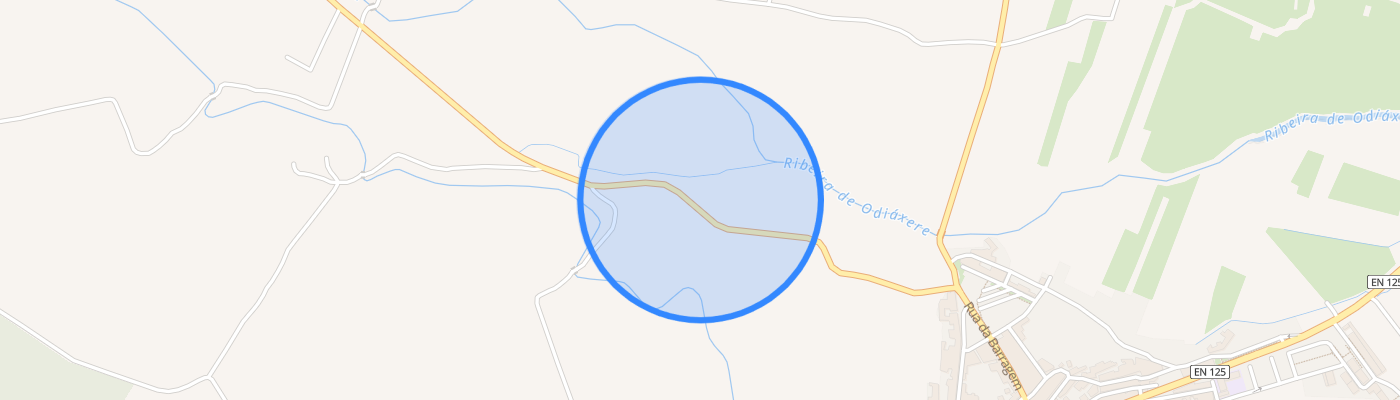 listing-map-picture