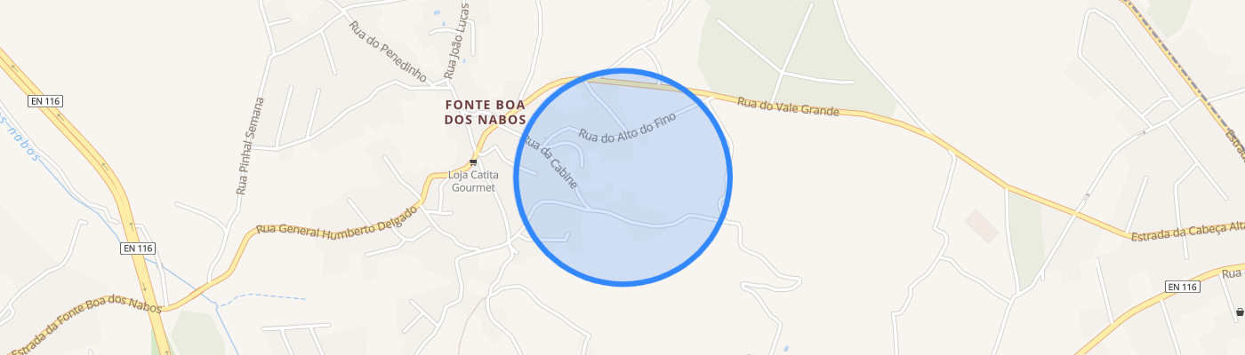 listing-map-picture