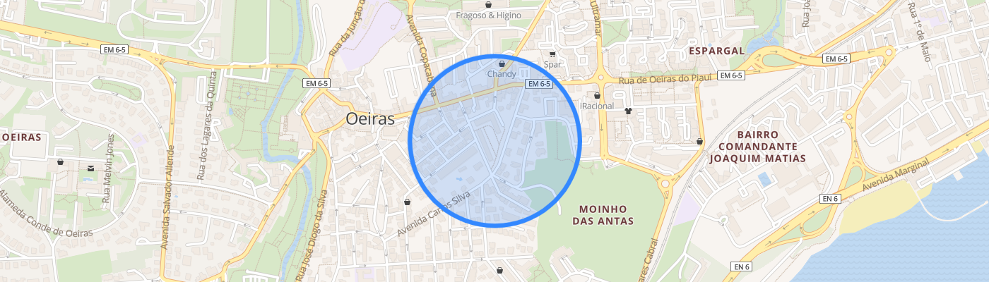listing-map-picture