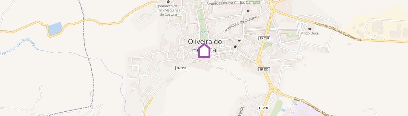 listing-map-picture