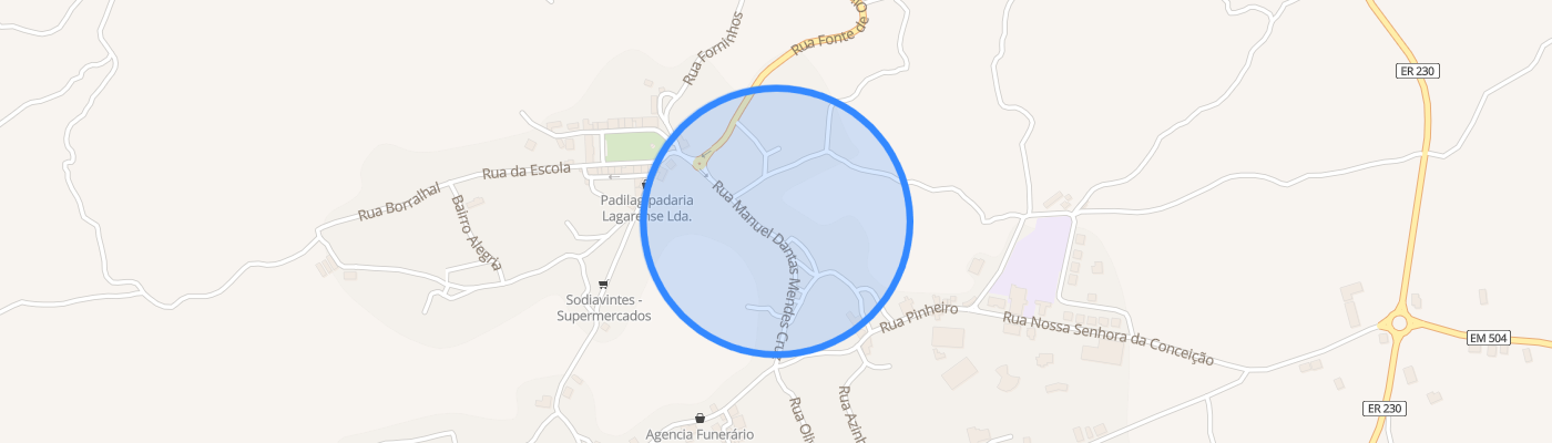 listing-map-picture