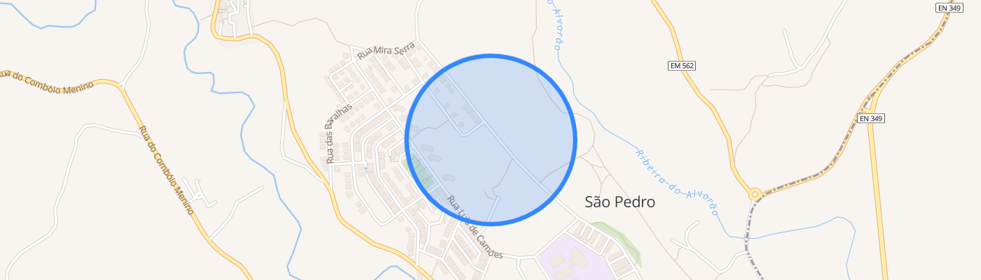 listing-map-picture