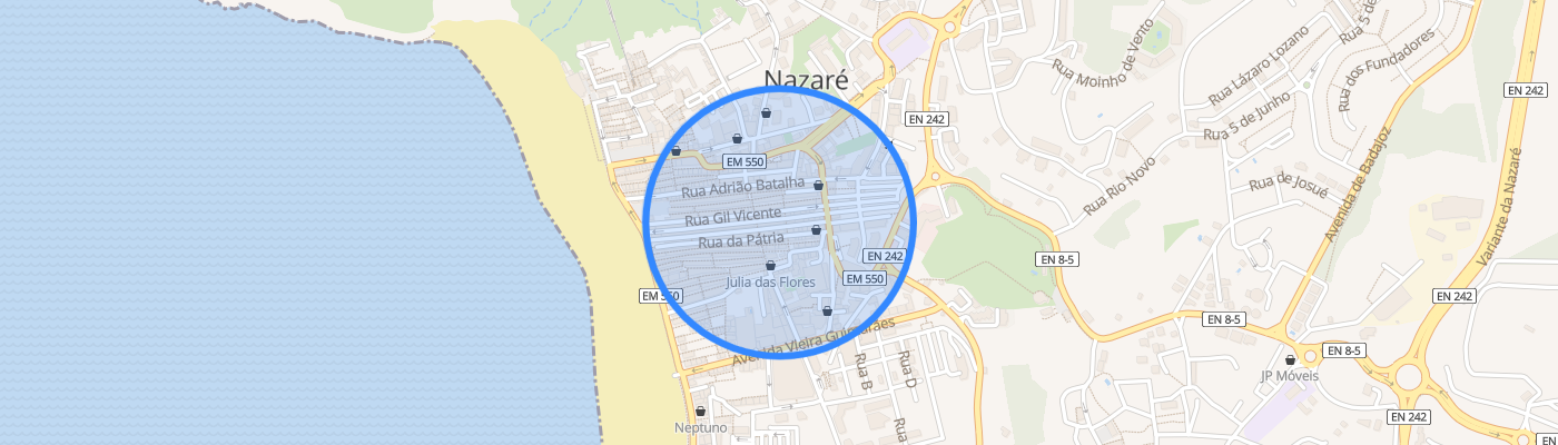 listing-map-picture