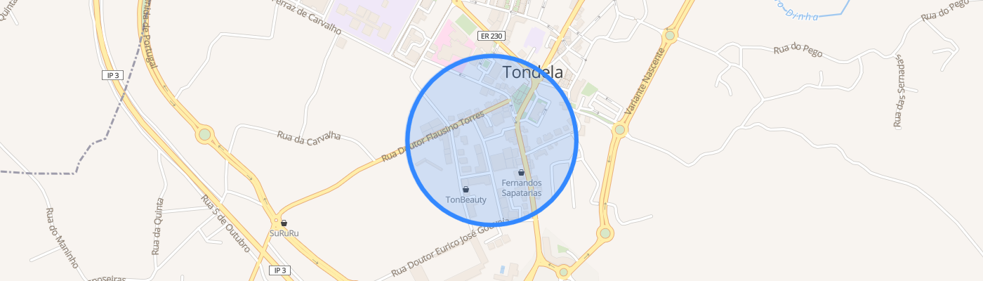 listing-map-picture