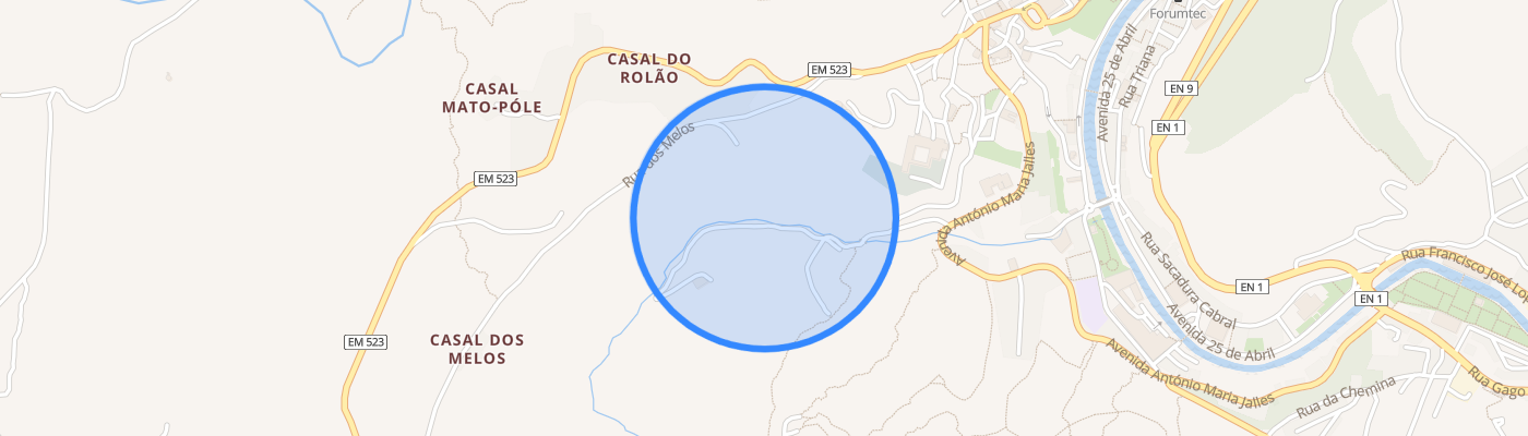 listing-map-picture