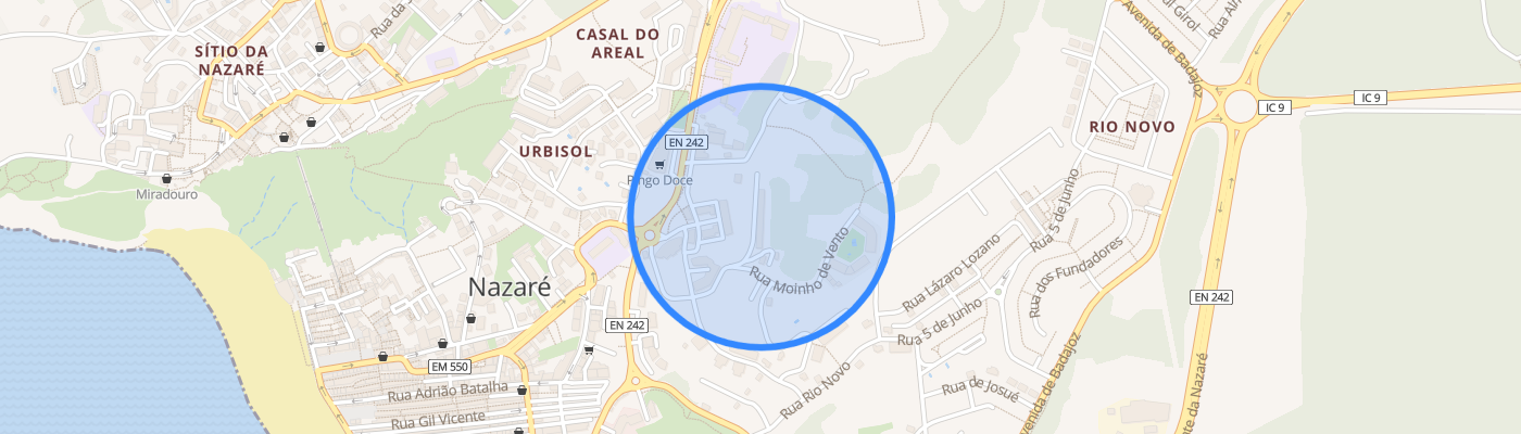 listing-map-picture