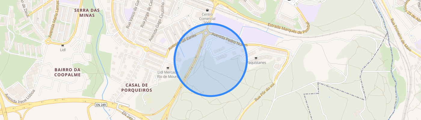 listing-map-picture