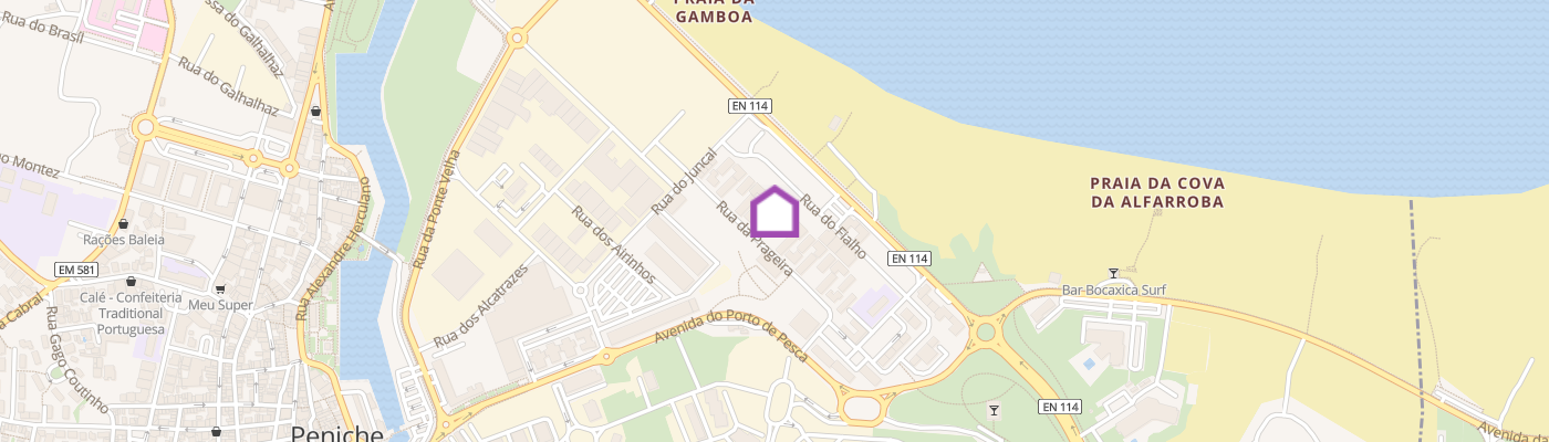 listing-map-picture