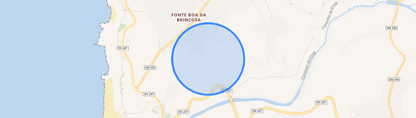 listing-map-picture