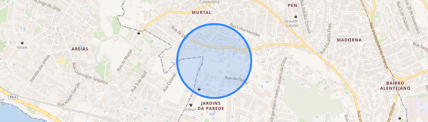 listing-map-picture