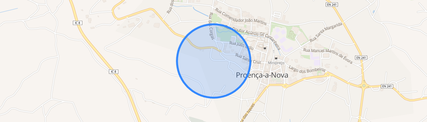 listing-map-picture