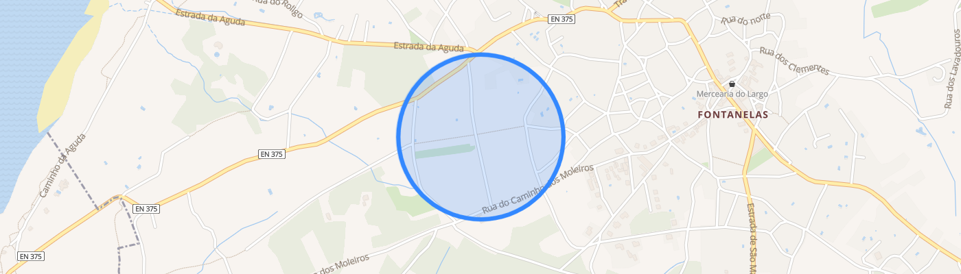 listing-map-picture