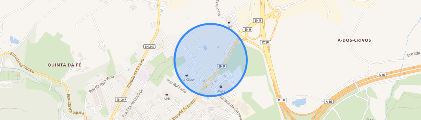 listing-map-picture