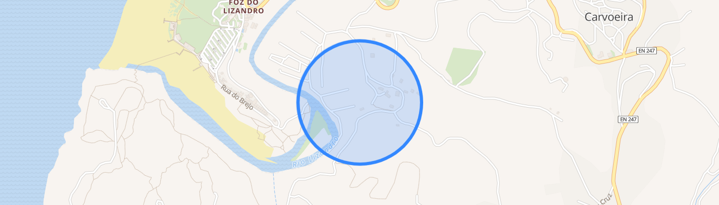 listing-map-picture