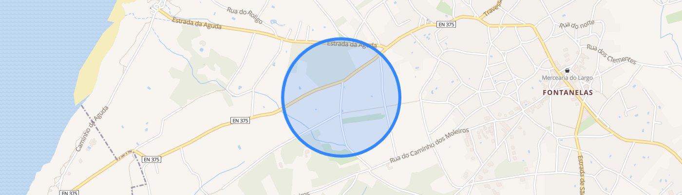 listing-map-picture