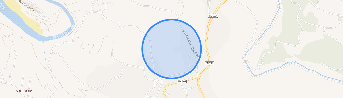listing-map-picture