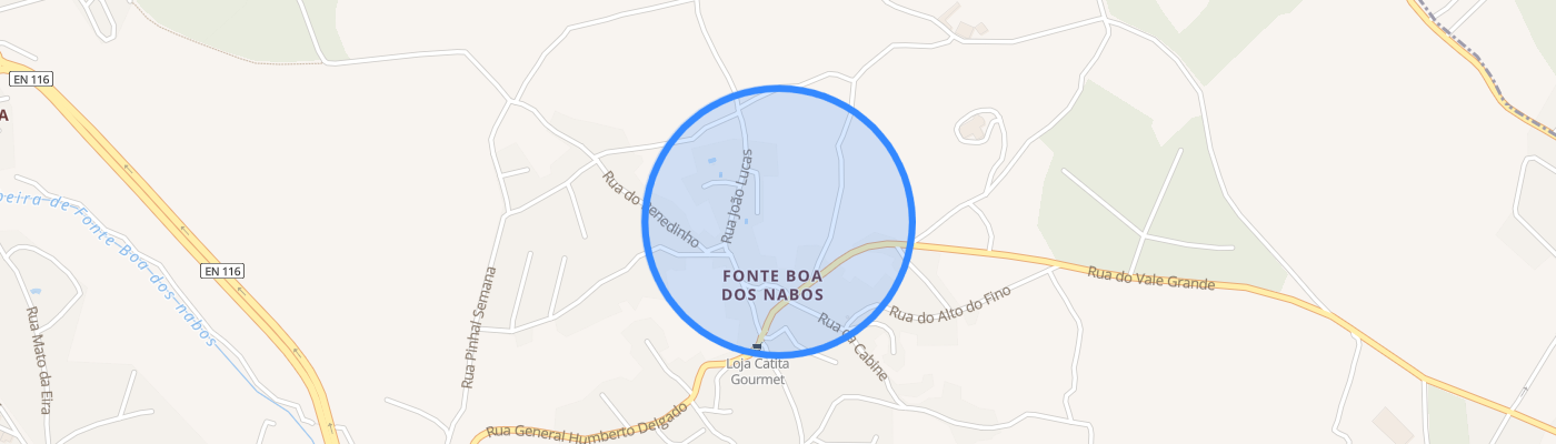 listing-map-picture