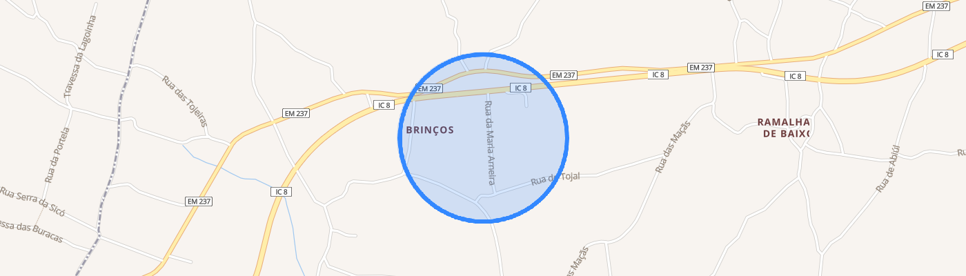 listing-map-picture