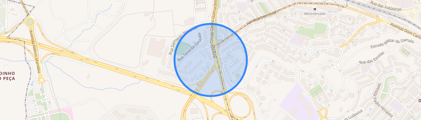 listing-map-picture