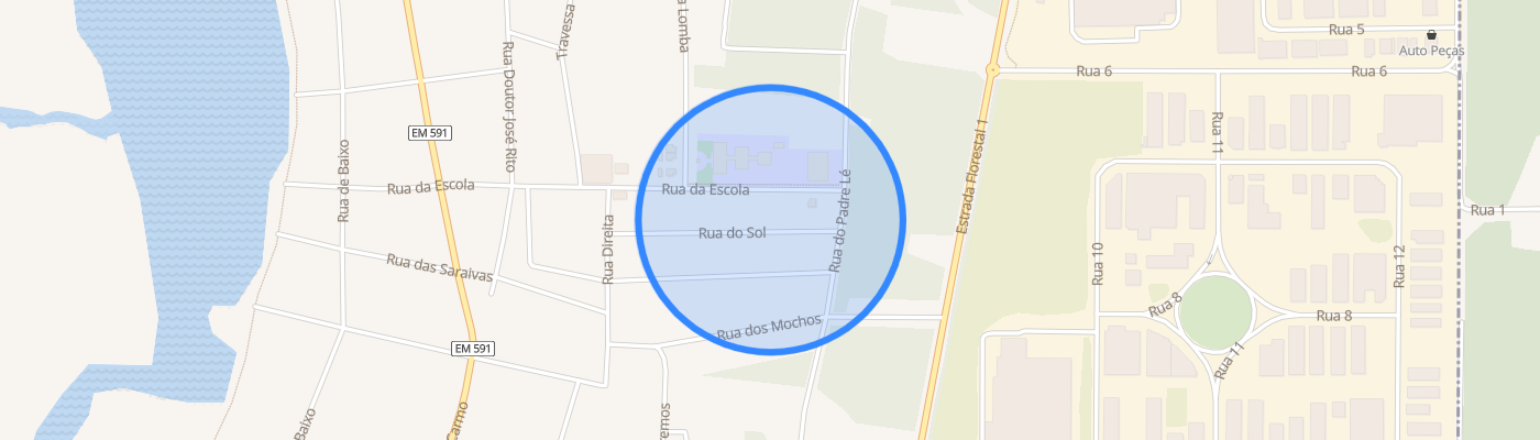 listing-map-picture