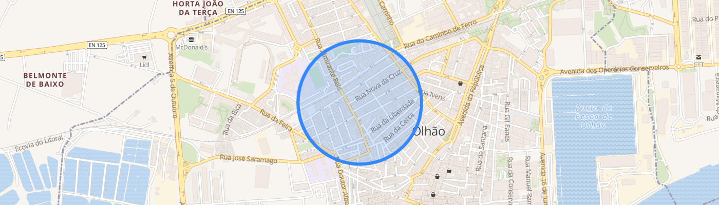 listing-map-picture