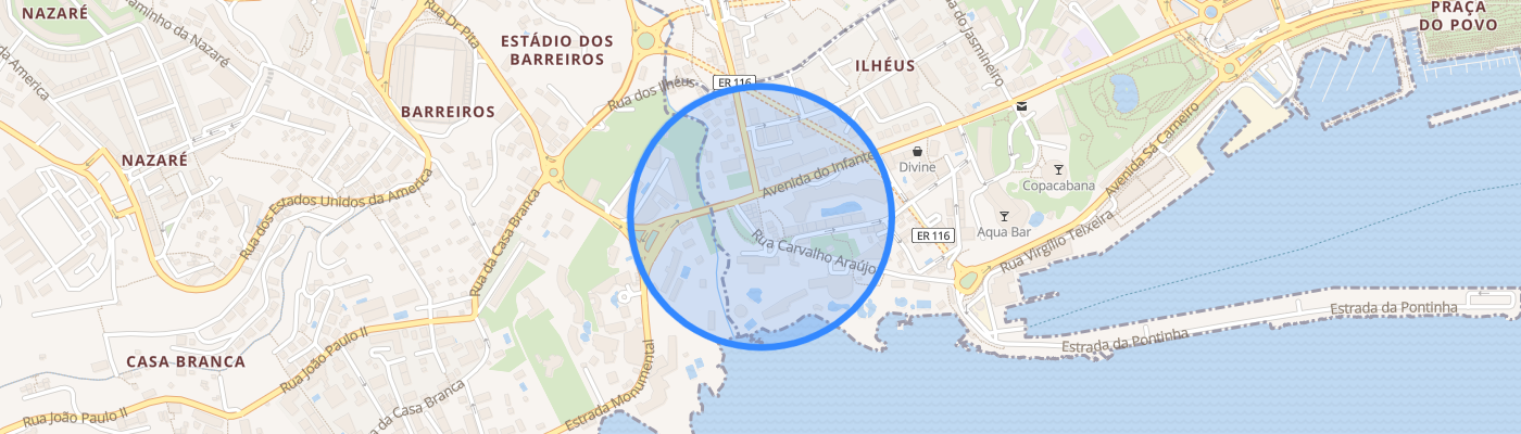 listing-map-picture