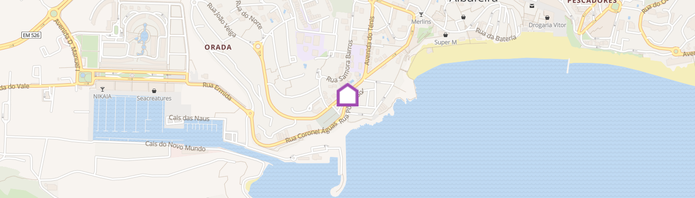 listing-map-picture